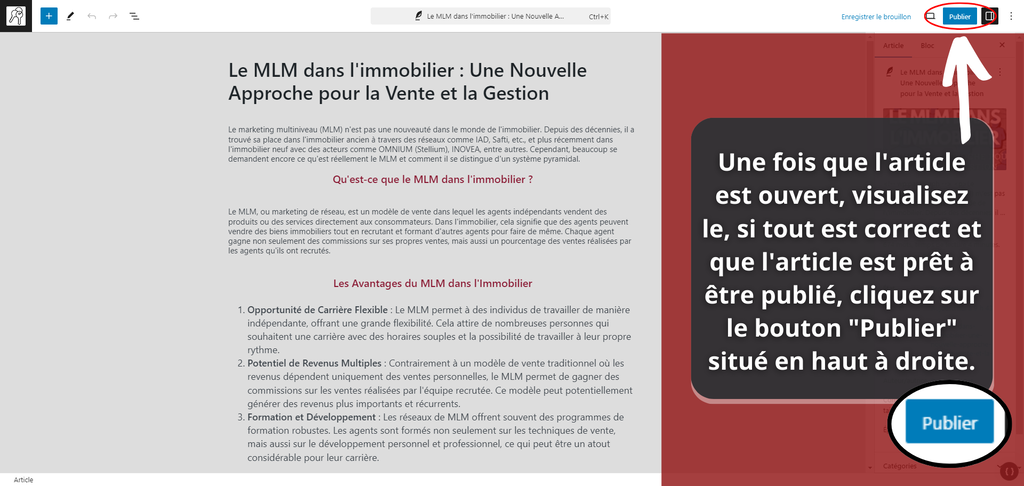 une fois que l'article est ouvert, prévisualisez le afin de vous assurer que c’est bel et bien l’article que vous souhaitez publier. (3)