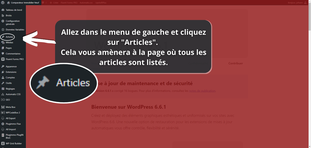 votre texte de paragraphe (3)